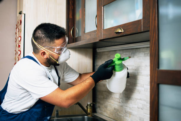 Best Cockroach Control Services  in Strodes Mills, PA