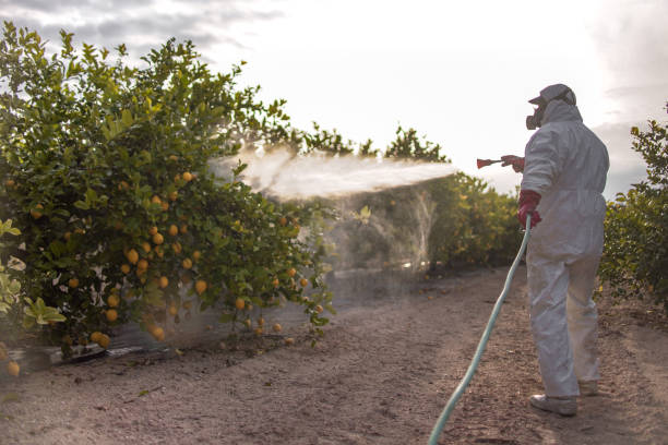Best Pest Inspection Near Me  in Strodes Mills, PA