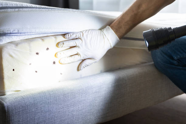 Best Flea Control Services  in Strodes Mills, PA