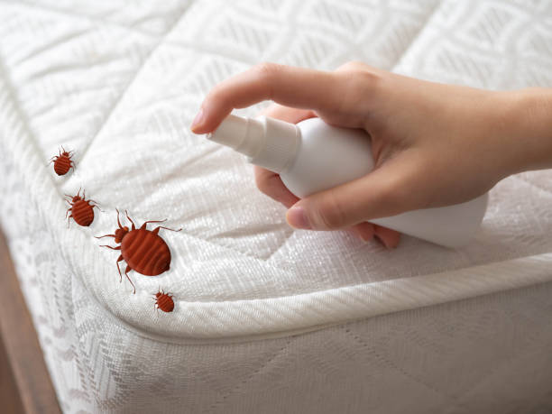 Best Mosquito Control Services  in Strodes Mills, PA