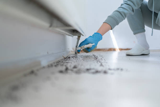 Best Termite Control Services  in Strodes Mills, PA